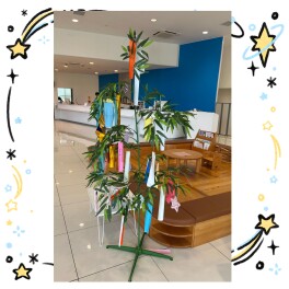 今日は七夕☆彡